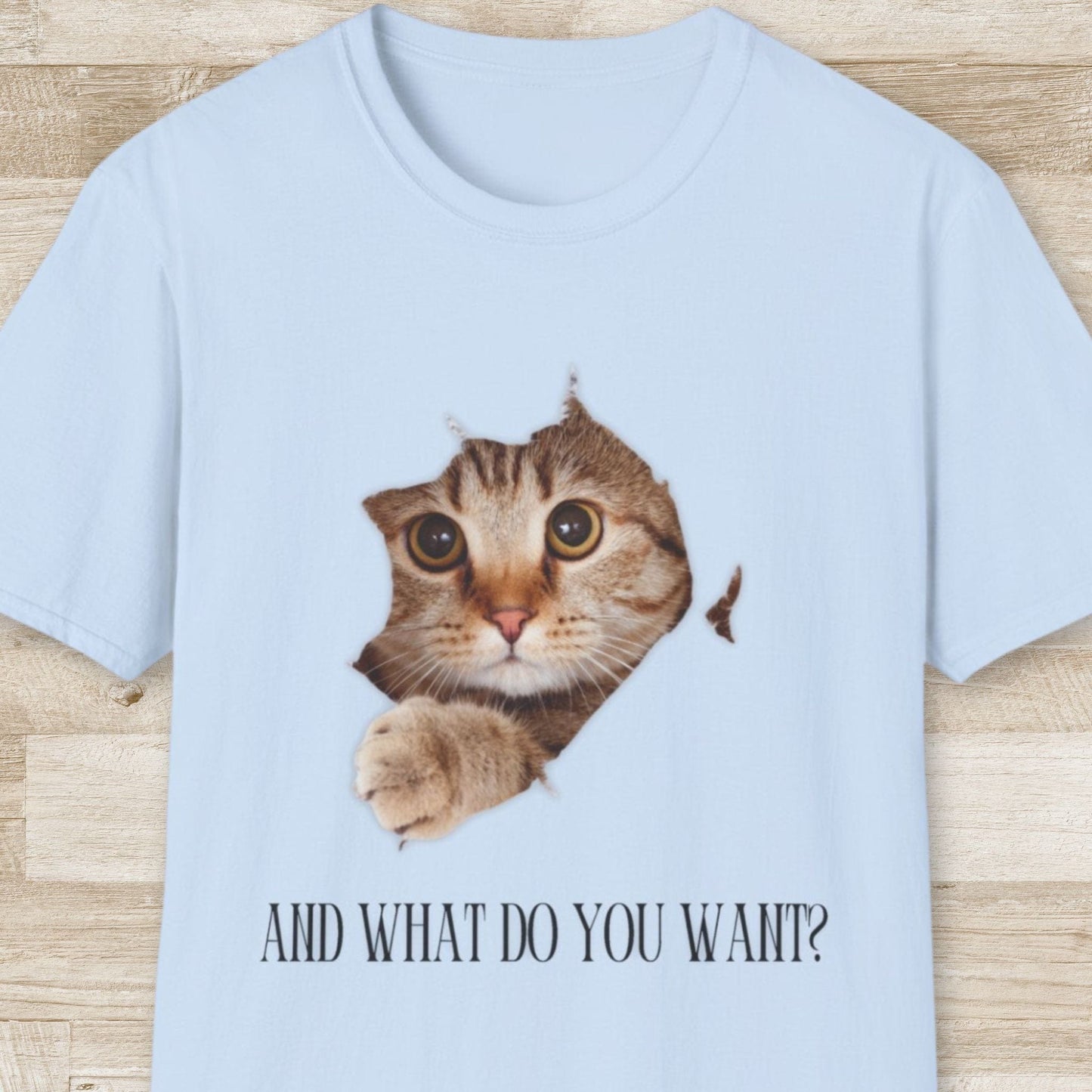 And What Do You Want T-Shirt