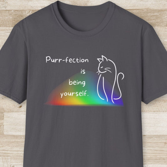 Purr-fection is Being Yourself T-Shirt