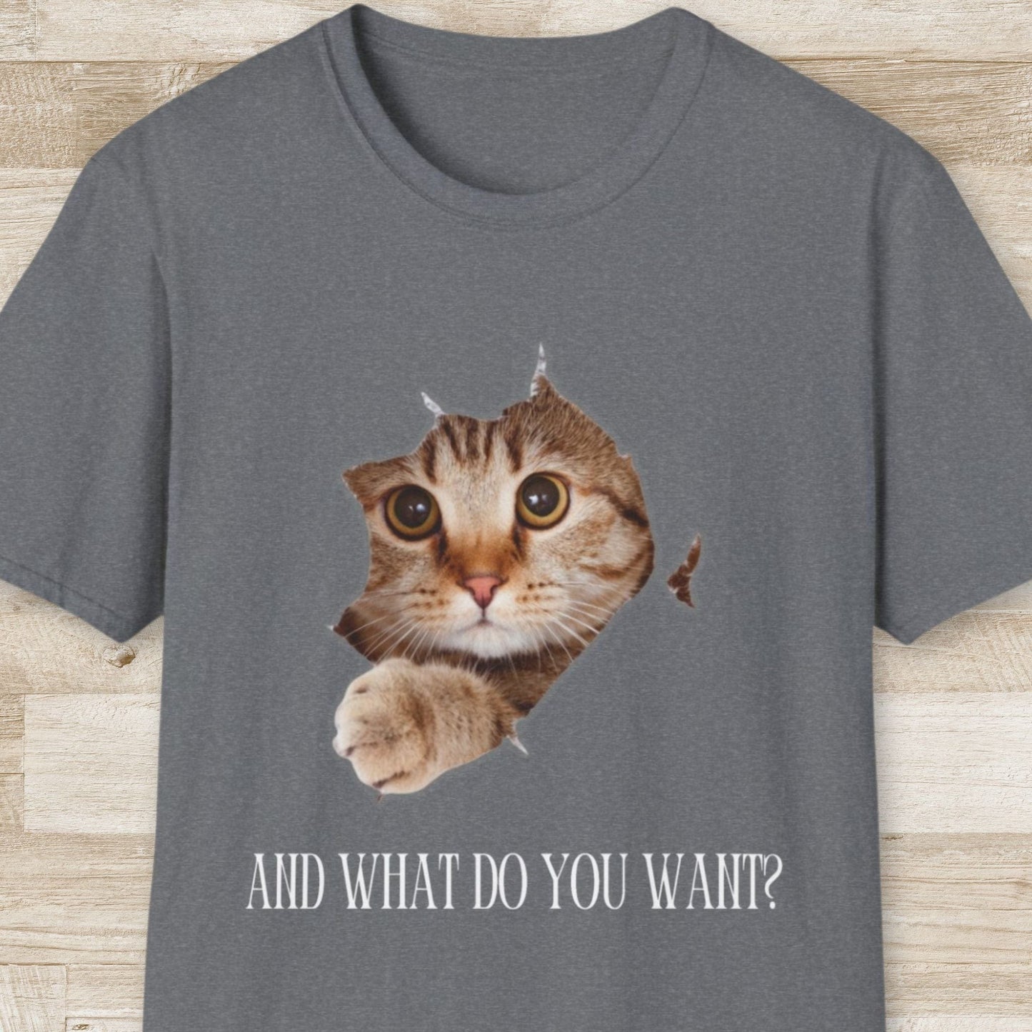 And What Do You Want T-Shirt