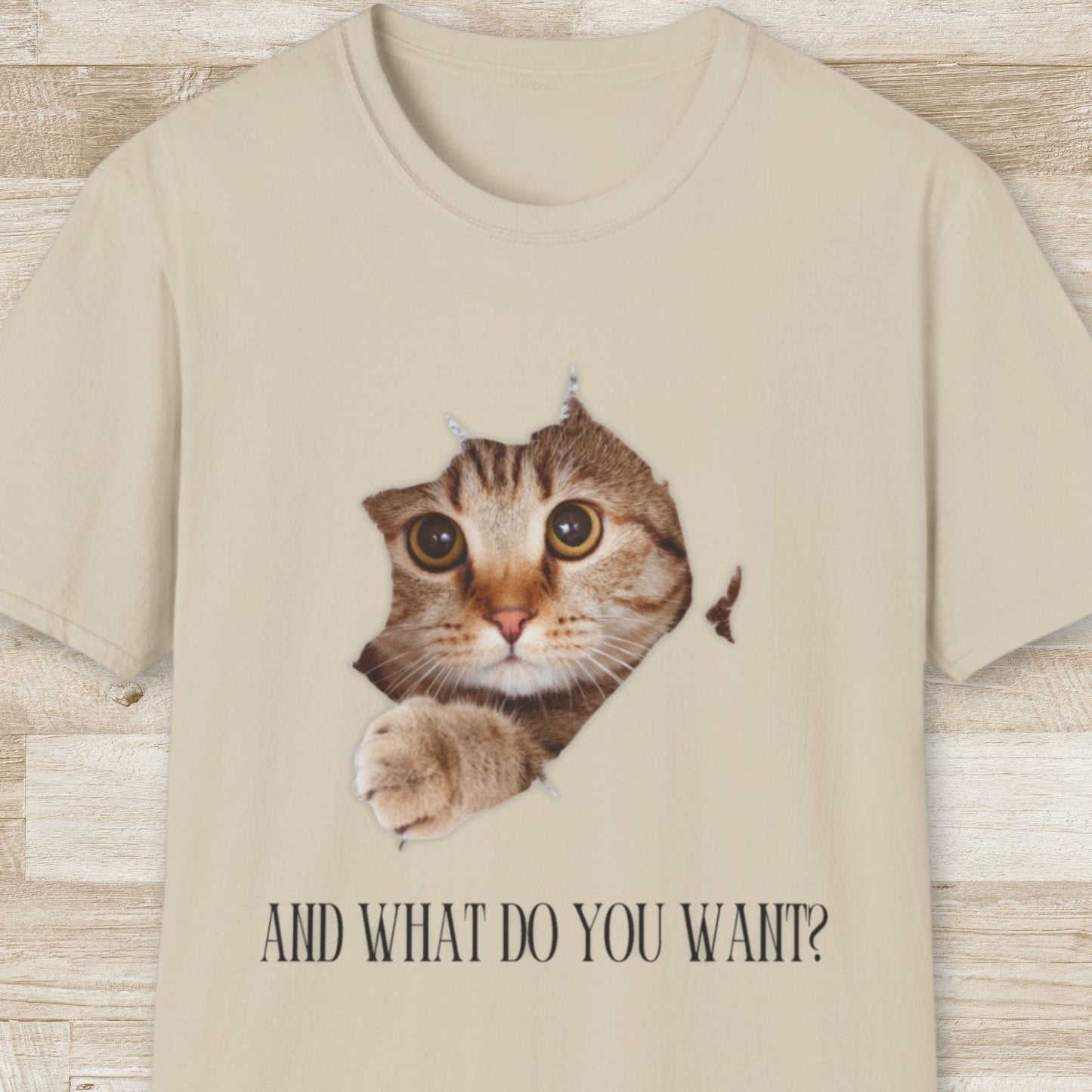 And What Do You Want T-Shirt