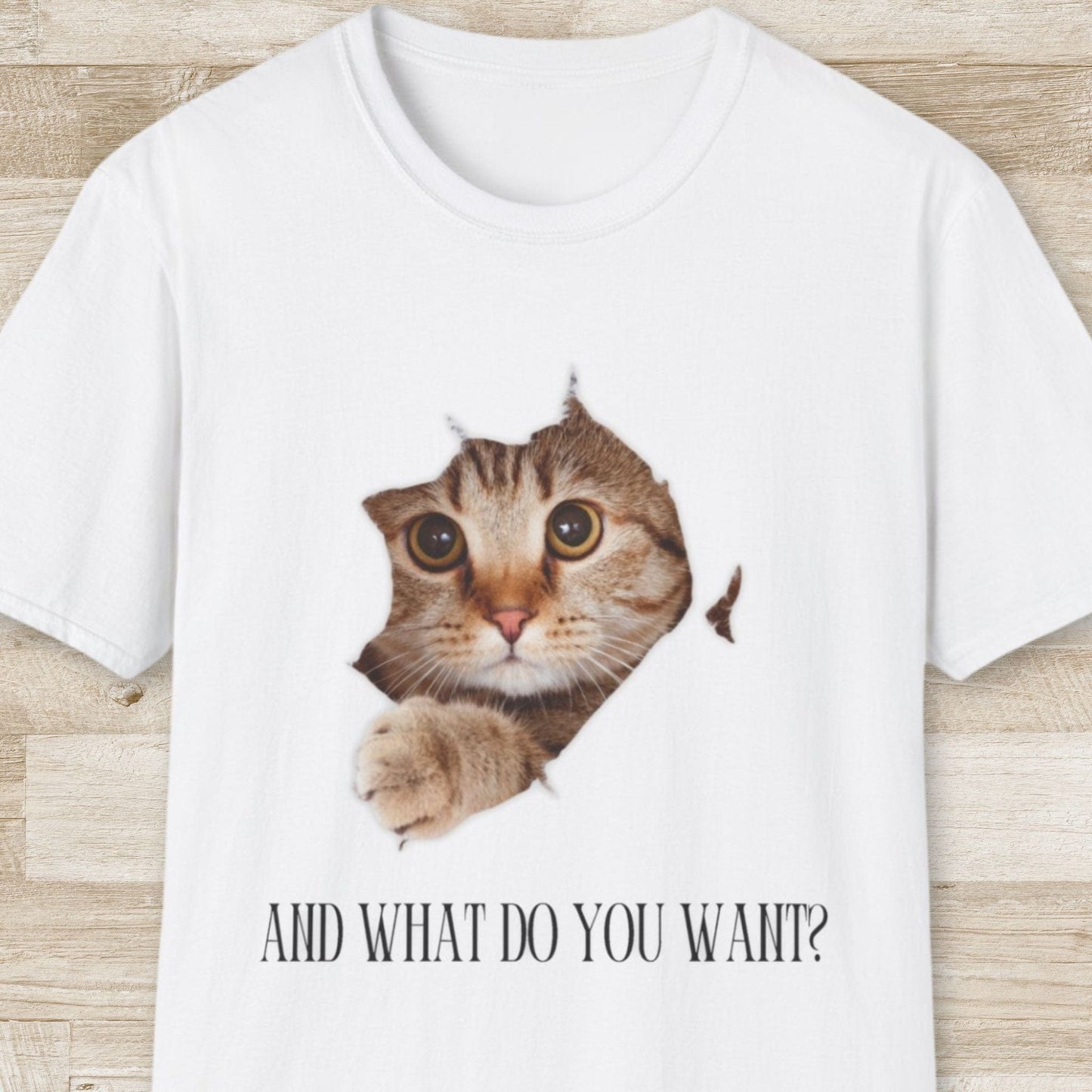 And What Do You Want T-Shirt