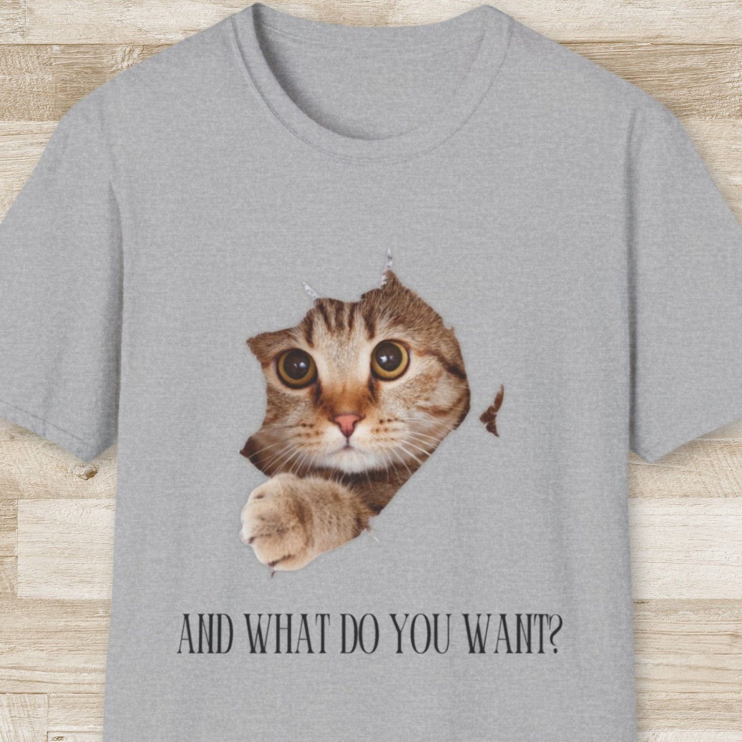And What Do You Want T-Shirt