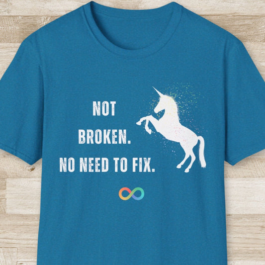 Not Broken. No Need to Fix T-Shirt